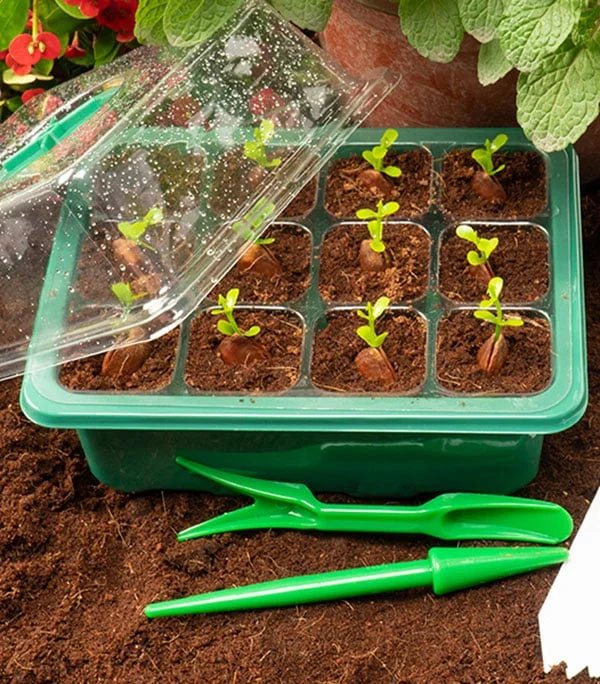 PlantPod™ Mini szklarnia do rozsady z regulacją wilgotności (12 otworów)