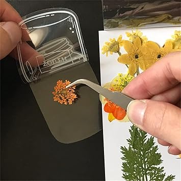 BloomDrop™ – przezroczyste zakładki z suszonymi kwiatami