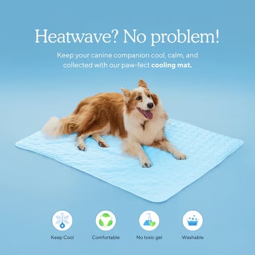 CoolPetz™ Mata chłodząca dla psa