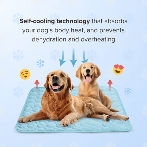 CoolPetz™ Mata chłodząca dla psa