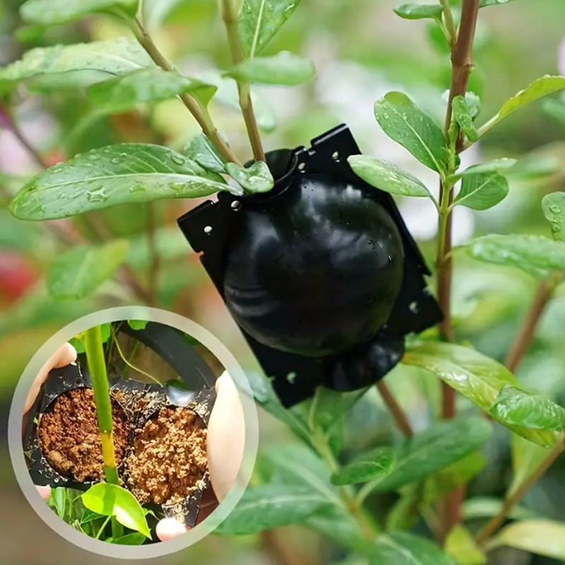 EcoRoot™ Box do wspomagania wzrostu korzeni roślin