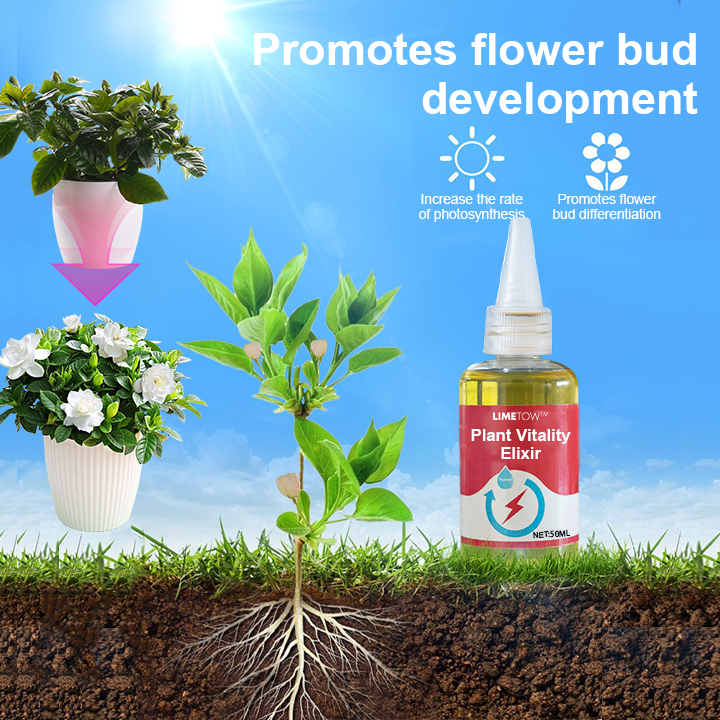 GreenBloom™ Naturalny pokarm dla roślin