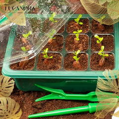 PlantPod™ Mini szklarnia do rozsady z regulacją wilgotności (12 otworów)