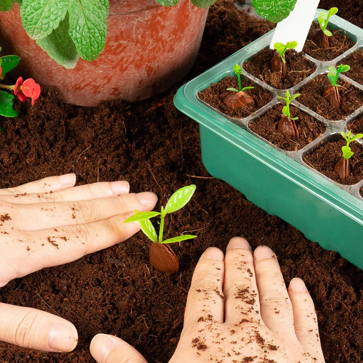 PlantPod™ Mini szklarnia do rozsady z regulacją wilgotności (12 otworów)