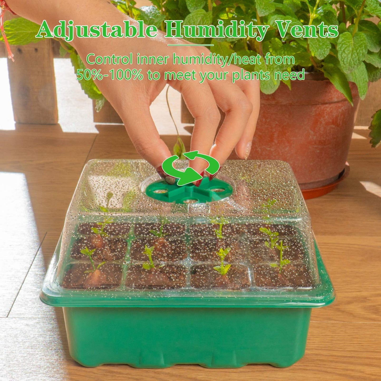 PlantPod™ Mini szklarnia do rozsady z regulacją wilgotności (12 otworów)