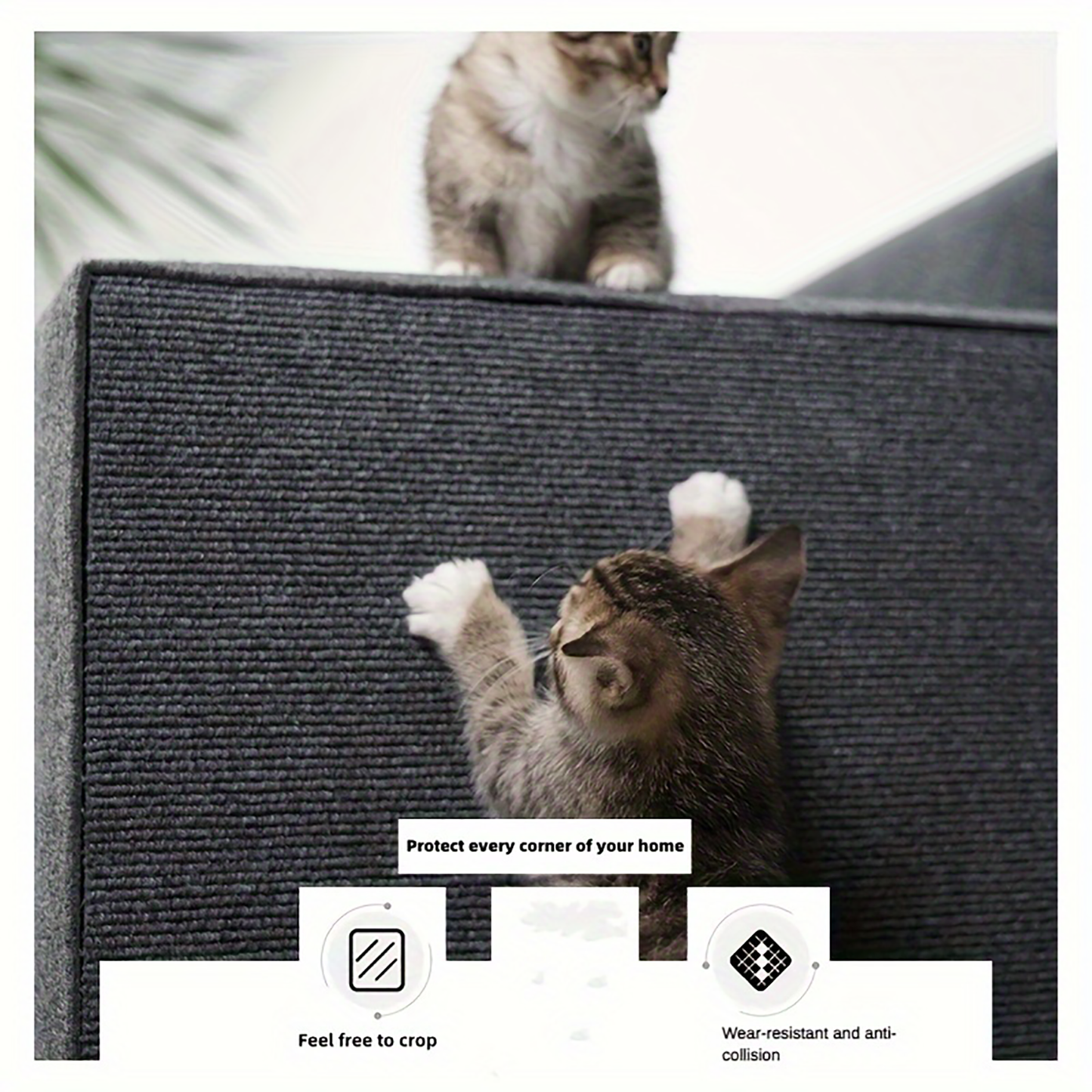 WildScratch™ Mata drapak dla kota