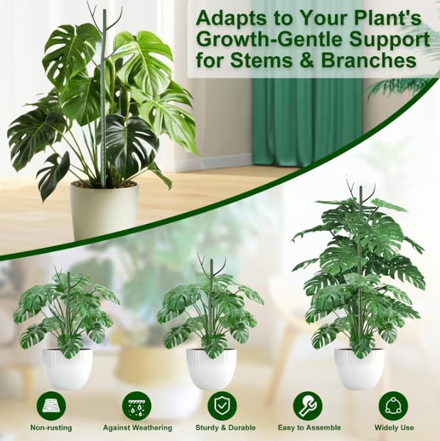 StemBrace Decorative Plant Support Stakes - 5 pack hero product view